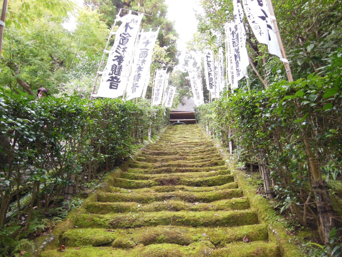 歴史情緒あふれる杉本寺の苔の階段